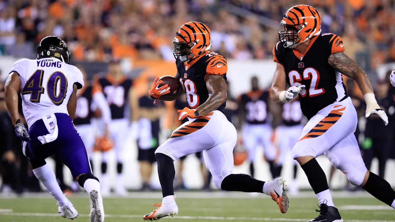 Baltimore Ravens v Cincinnati Bengals GettyImageRank2 SPORT AMERICAN FOOTBALL NFL 