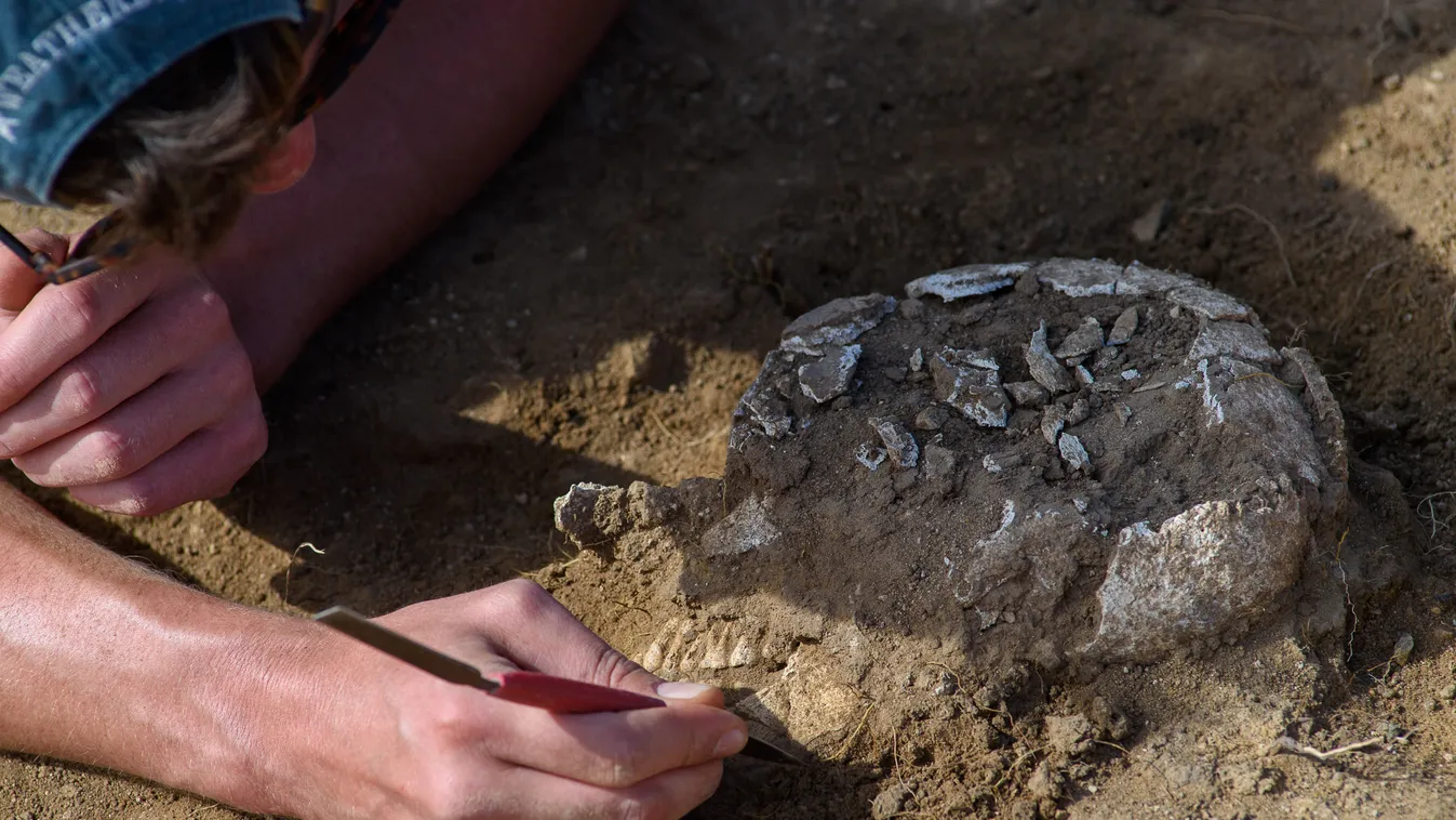 Bronze and stone age graves and parts of settlements discovered Arts, Culture and Entertainment --- early Bronze Age Excavations historical Skull Skeleton Horizontal ARCHAEOLOGY STONE AGE HISTORY 