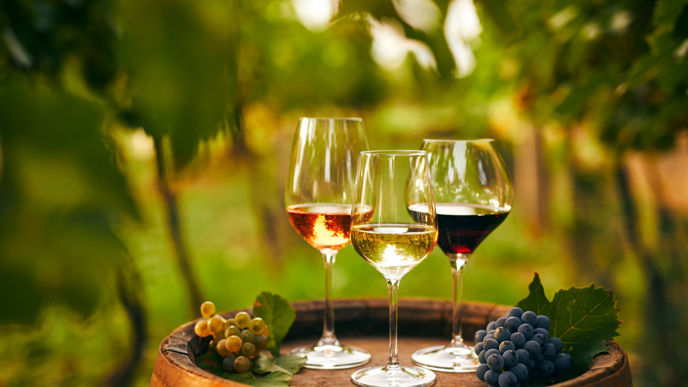 Miért nem mindegy, hogy hogyan isszuk a bort? 