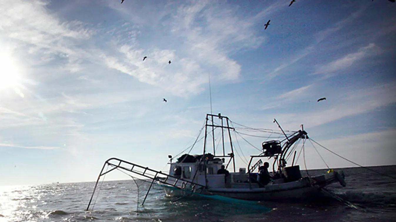 A világ legveszélyesebb munkái halászhajó 