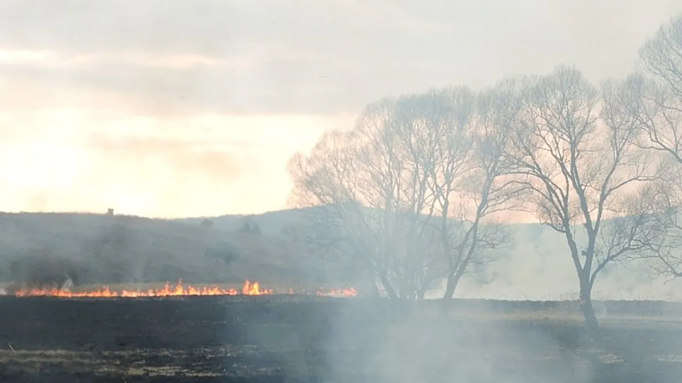 Bükki Nemzeti Park, tűz 