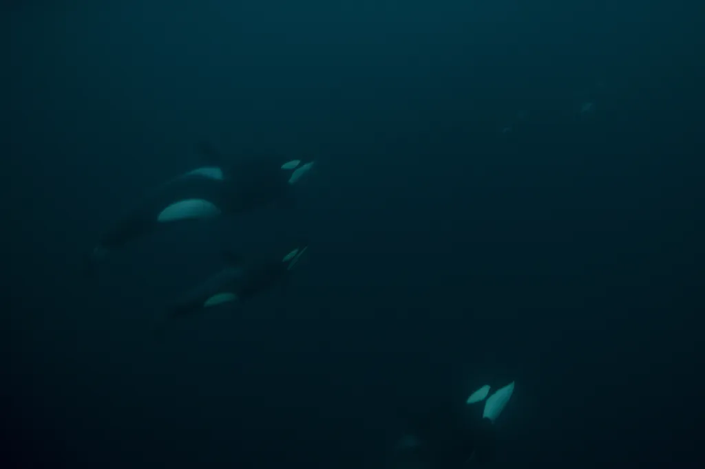 climate environment-pollution nature oceanography Horizontal