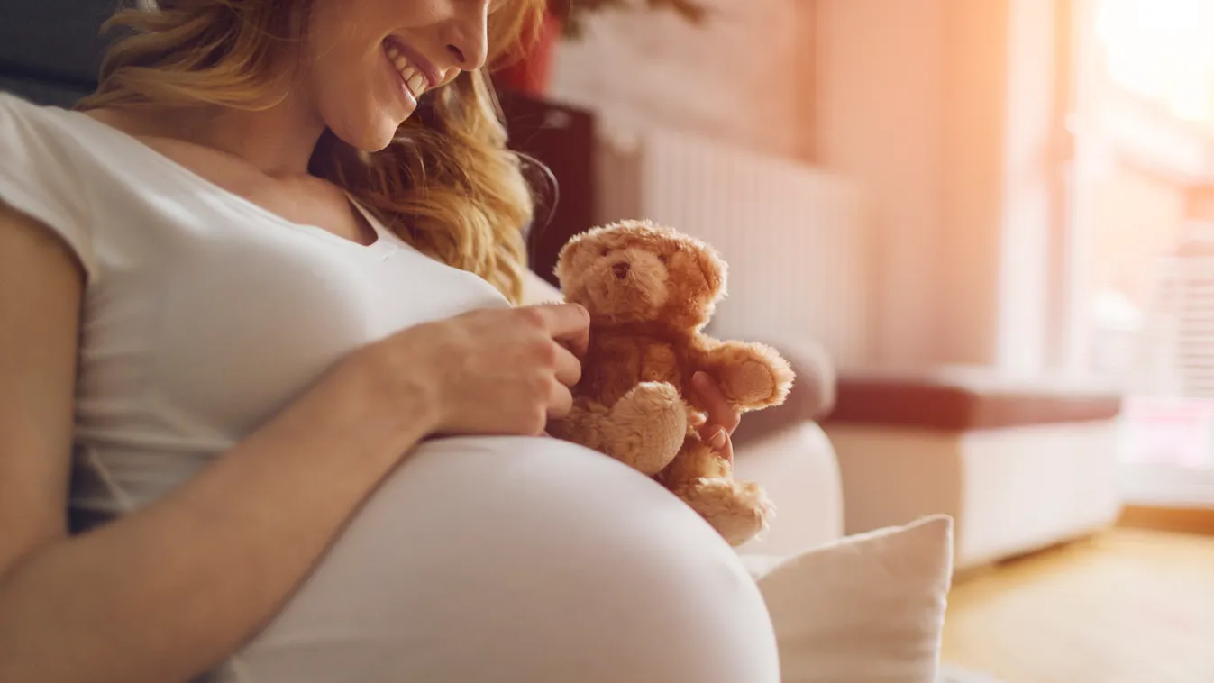 Pregnant Woman Holding Teddy Bear Sitting On Floor Real People Toothy Smile One Woman Only Only Women One Young Woman Only Only Young Women Young Women Women Females Adults Only Domestic Life 25-29 Years 20-29 Years Young Adult Adult Smiling Sitting Looki