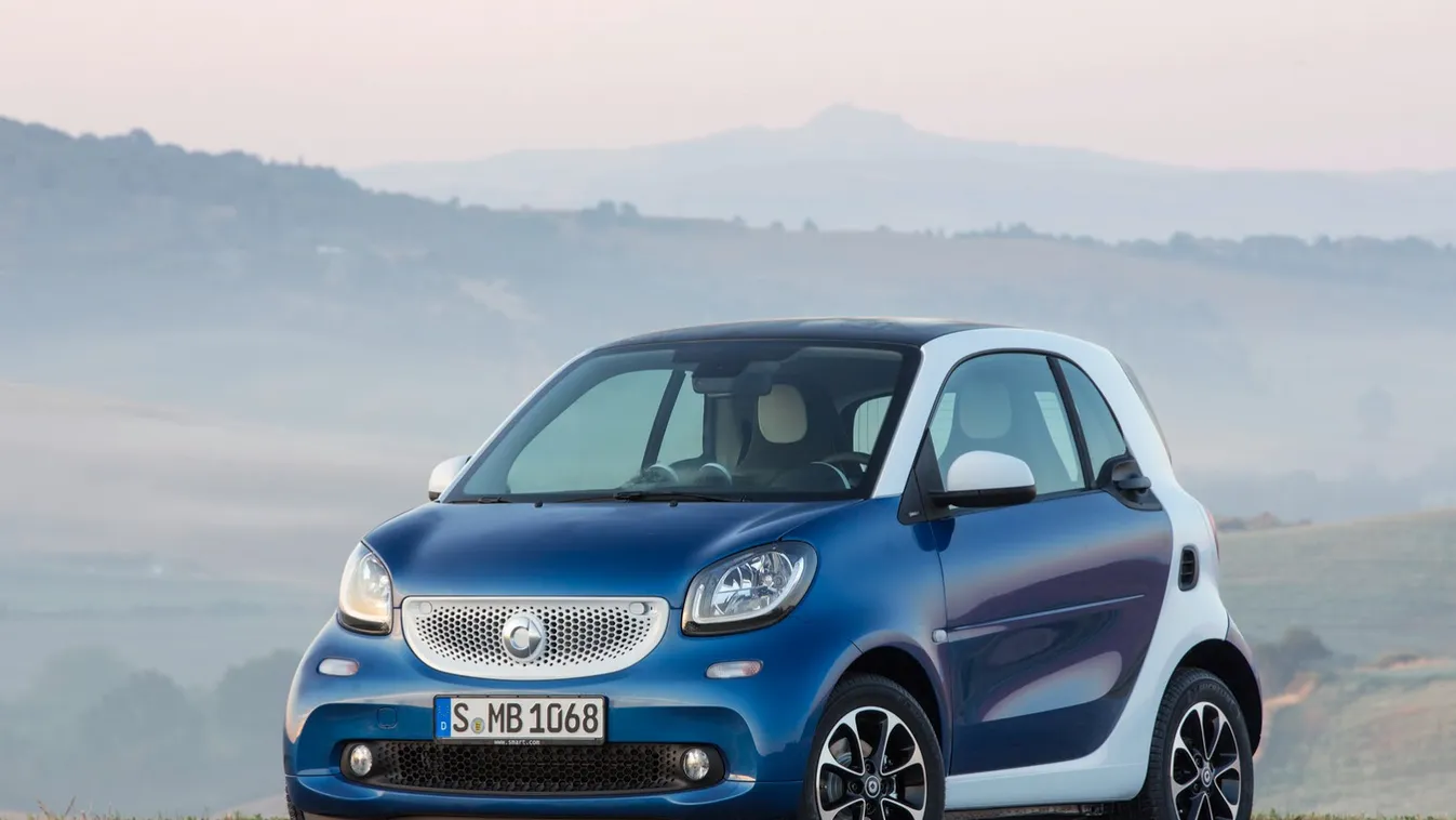 smart fortwo forfour 