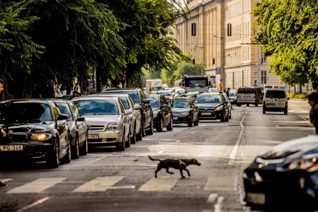 dugó, közlekedés, forgalom, autó, belváros, Budapest, budai rakpart, Margit híd, 2021.09.01. 