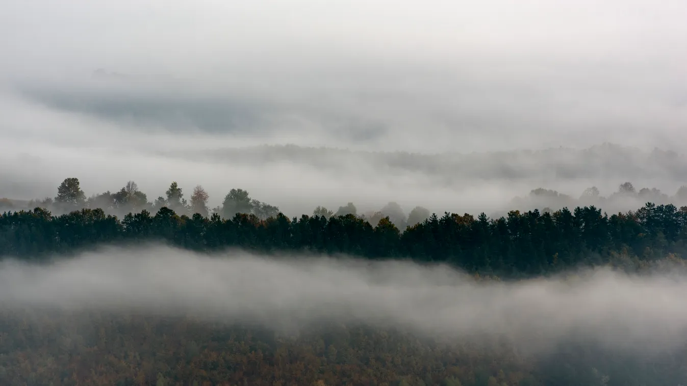 reggeli köd  FOTÓ FOTÓTÉMA IDŐJÁRÁS ködös napfelkelte NAPSZAK tájkép természetfotó 