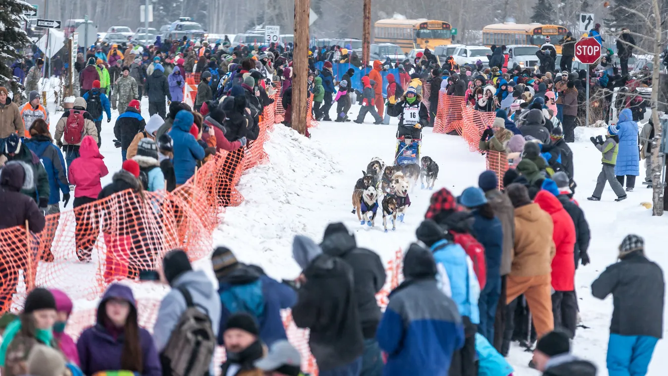 Iditarod Trail Sled Dog Race - Start in Fairbanks Sled Dog Race dogs Iditarod RACE SQUARE FORMAT 
