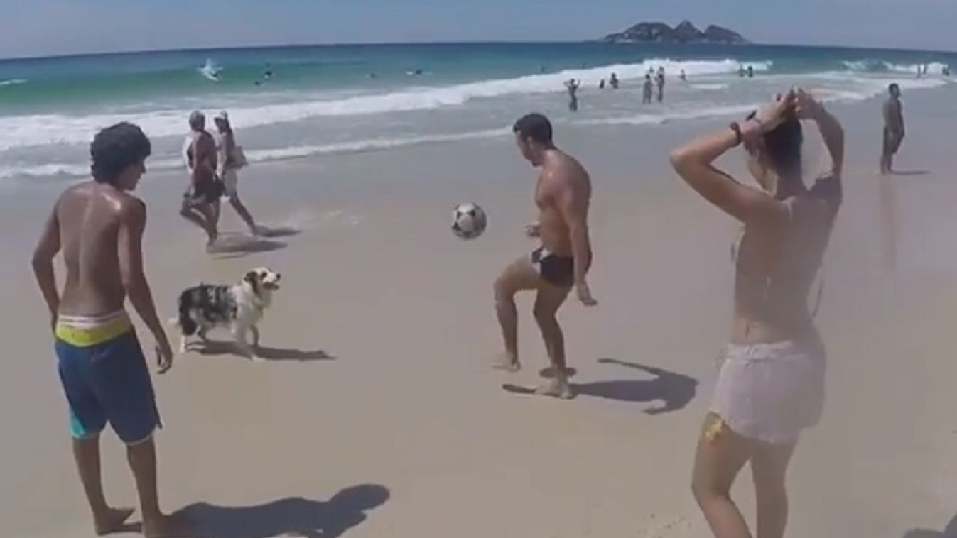 Brazília, kutya, labdarúgás 