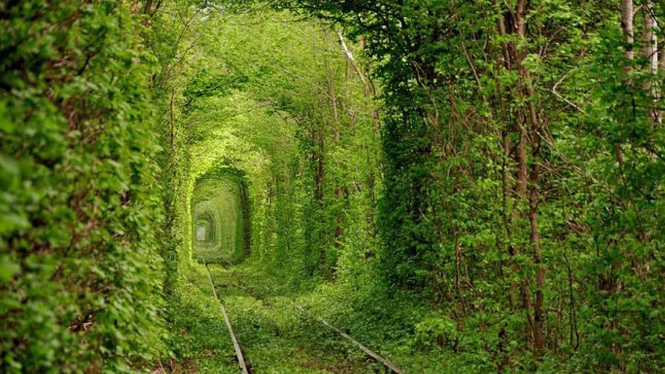 tunnel of love 