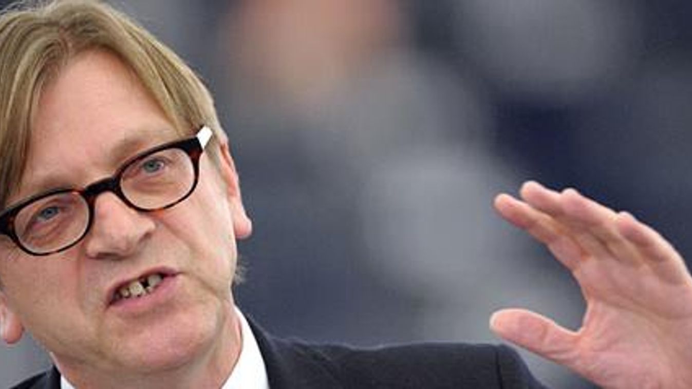 Guy Verhofstadt, Liberálisok és Demokraták Szövetsége Európáért Képviselőcsoport vezetője 