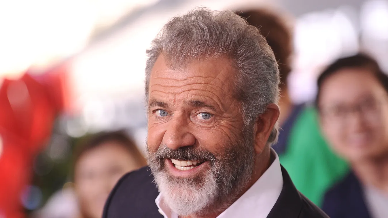 A 10 leggazdagabb színész a világon, Mel Gibson 
