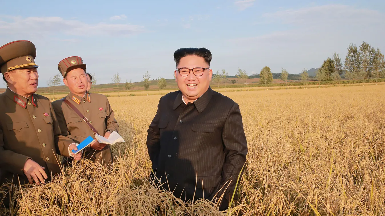 Észak-Korea, Kim Jong-Un, farm, mezőgazdaság 