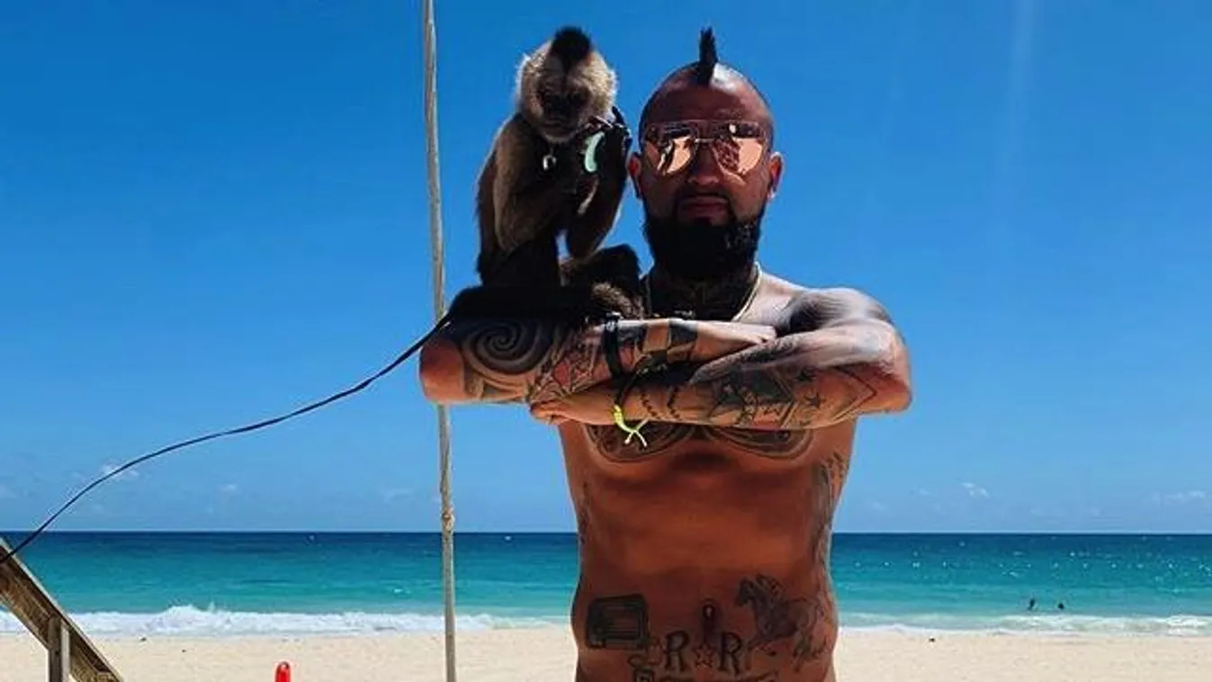 Arturo Vidal 