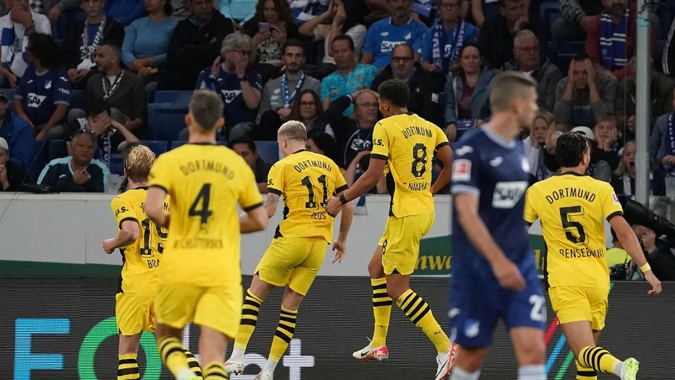 Hoffenheim, Borussia Dortmund 