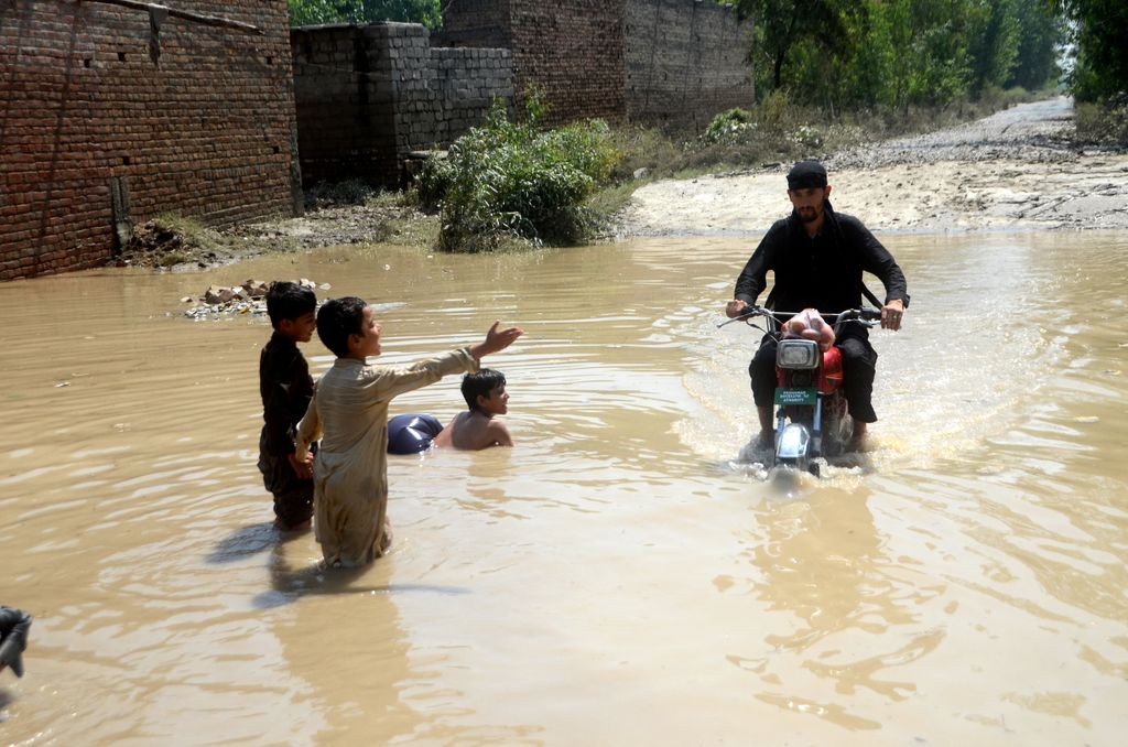 Pakisztán, áradás, víz, árvíz, katasztrófa, Dél-Ázsia 