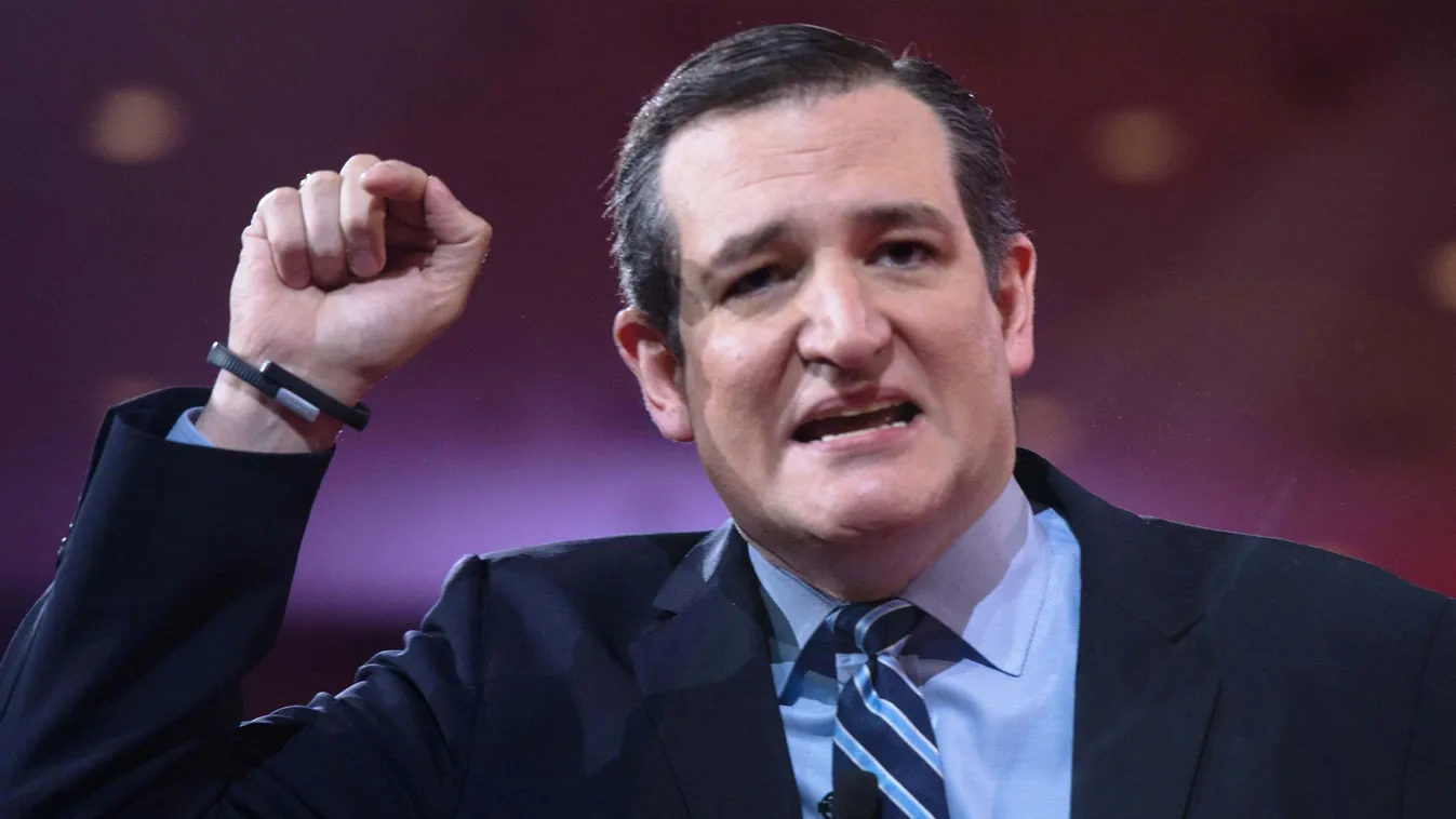 (FILES) - A file picture taken on   February 26, 2015, US Republican Senator from Texas Ted Cruz addresses the annual Conservative Political Action Conference (CPAC) at National Harbor, Maryland, outside Washington, DC.  United States Senator and Tea Part
