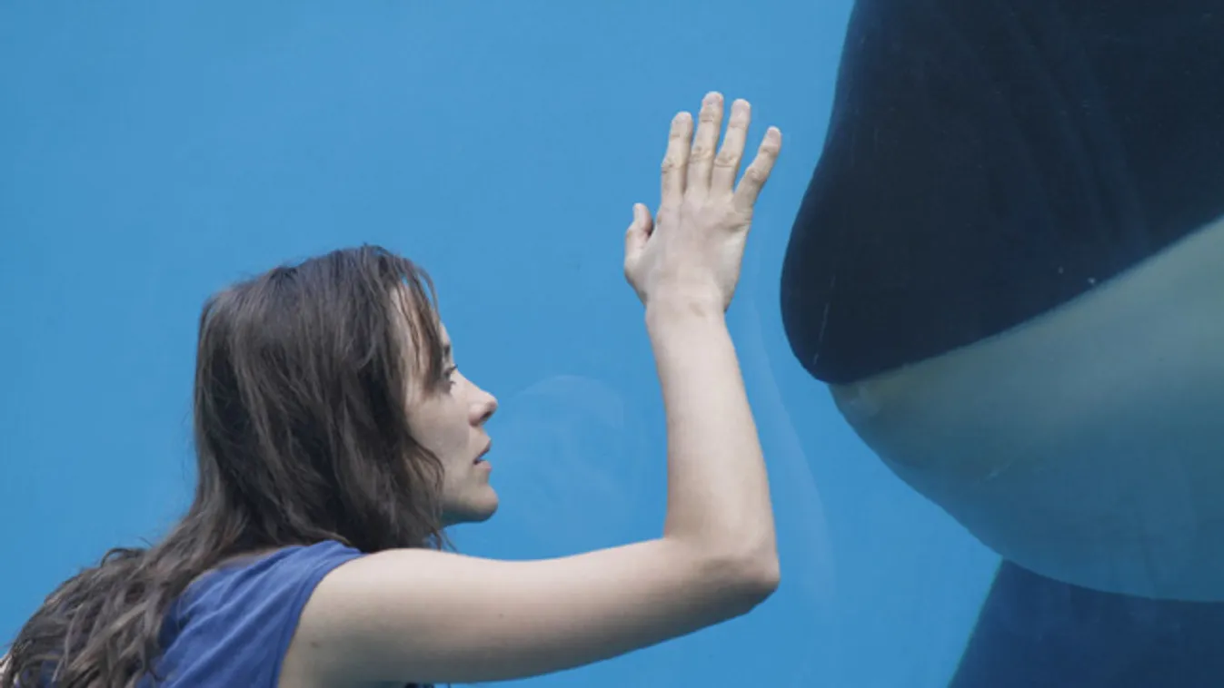 rust and bone