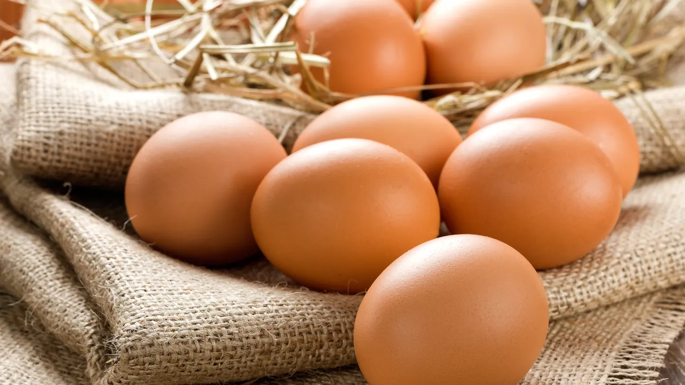 A tojás a fogyókúrázók barátja, de csak akkor, ha ezeket a szabályokat betartjuk 