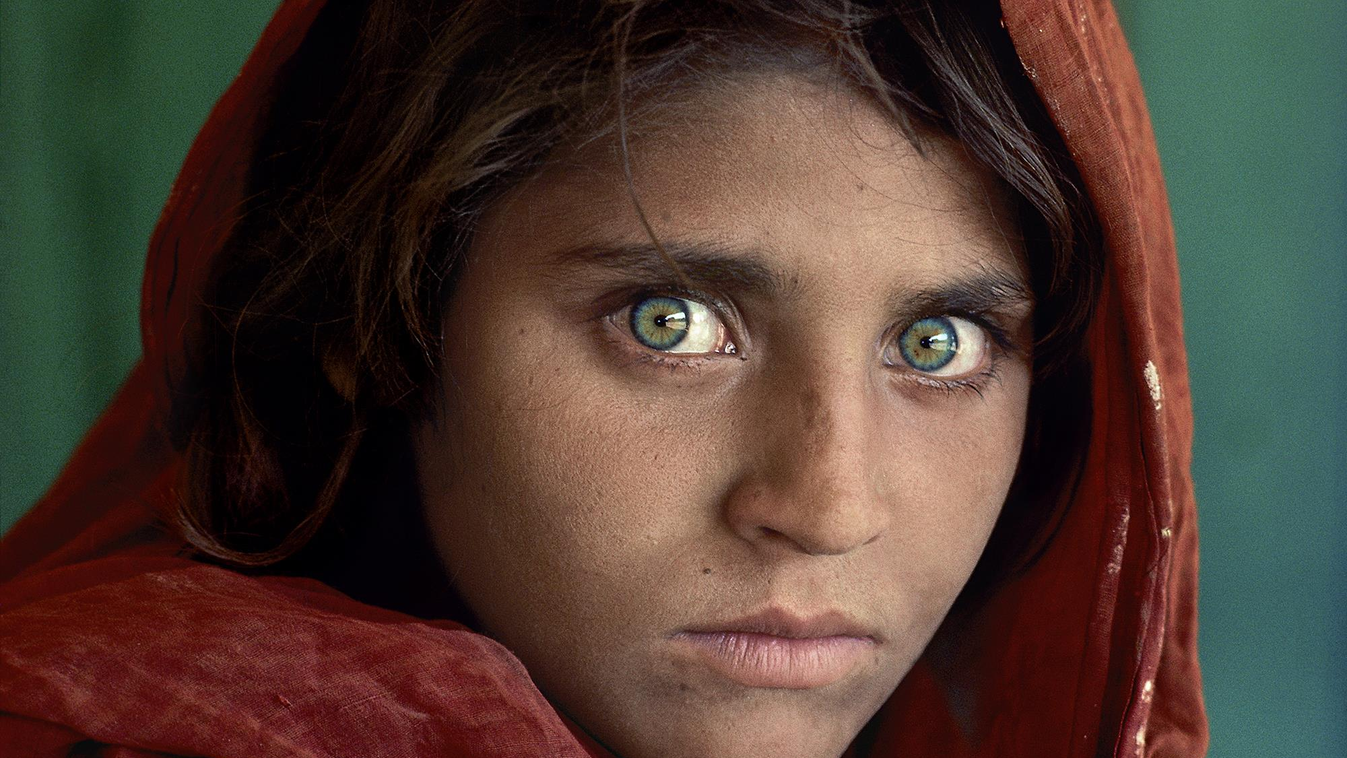 Steve McCurry 1984 AFGRL-10001 Pakistan Peshawar afghan afghan girl child eyes face girl green vertical portrait red refugee robe scarf young Sharbat Gula In the Shadow of Mountains Phaidon 55 Portraits South Southeast Looking East indoors interi 