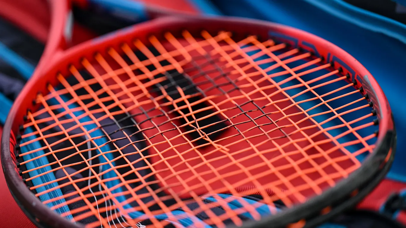 tennis Horizontal ILLUSTRATION CLOSE-UP 