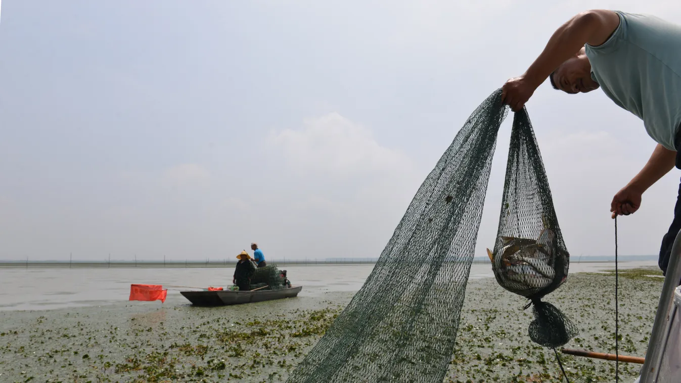 Kína, halászhajó, hajó, halász, hal, Fishermen fish on Hongze Lake Boat China Chinese Fisherman Fishing Fishing boat Fishing gear Hongze Lake Huai'an Jiangsu Net Vessel 