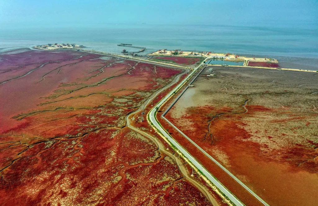 vörös, part, red beach, kína, panjin, tengerpart, folyó, torkolat, Liaohe,  Liao 