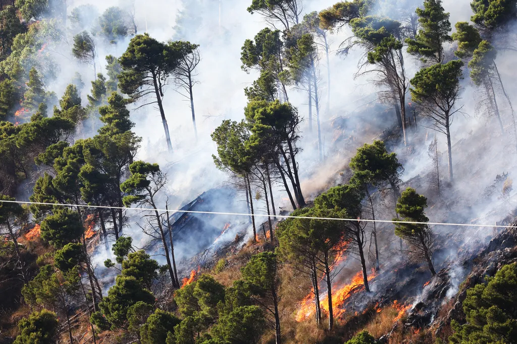 Pusztító erdőtűz Szicília Wildfire continues in Sicily 2023,air,area,extinguish,fire,Firefighter,firefighters,forest,It Horizontal 