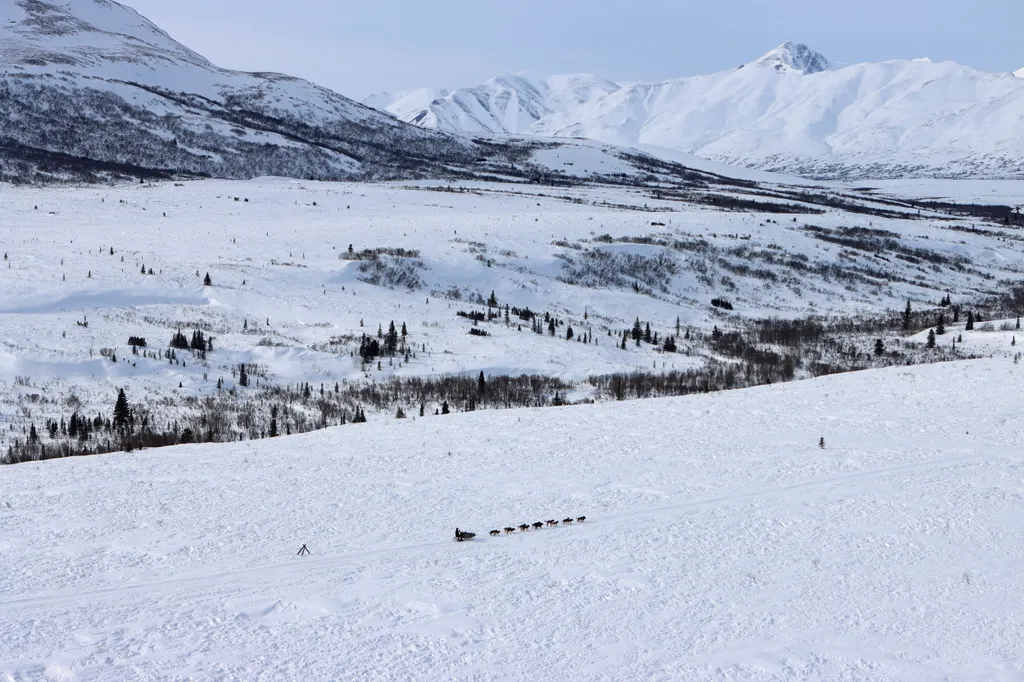 Alaszkai-hegység, 2021. március 9.
Matt Failor csapatával az Alaszkai-hegység Rainy-hágója felé tart az Iditarod amerikai kutyaszánversenyen 2021. március 8-án.
MTI/AP/Anchorage Daily News pool/Zachariah Hughes 