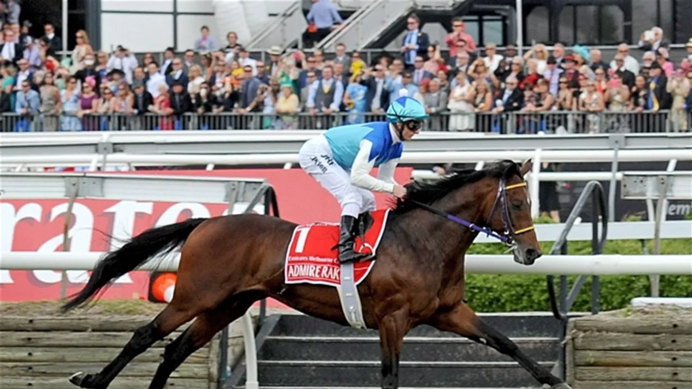 Melbourne, 2014. november 4.
Zak Purton zsoké utolsóként érkezik a célba Admire Rakti nevű lovával az ausztrál lóversenyen, a Melbourne-kupán a melbourne-i Flemington lóversenypályán 2014. november 4-én. A ló a célba érkezést követően összeesett és elpusz