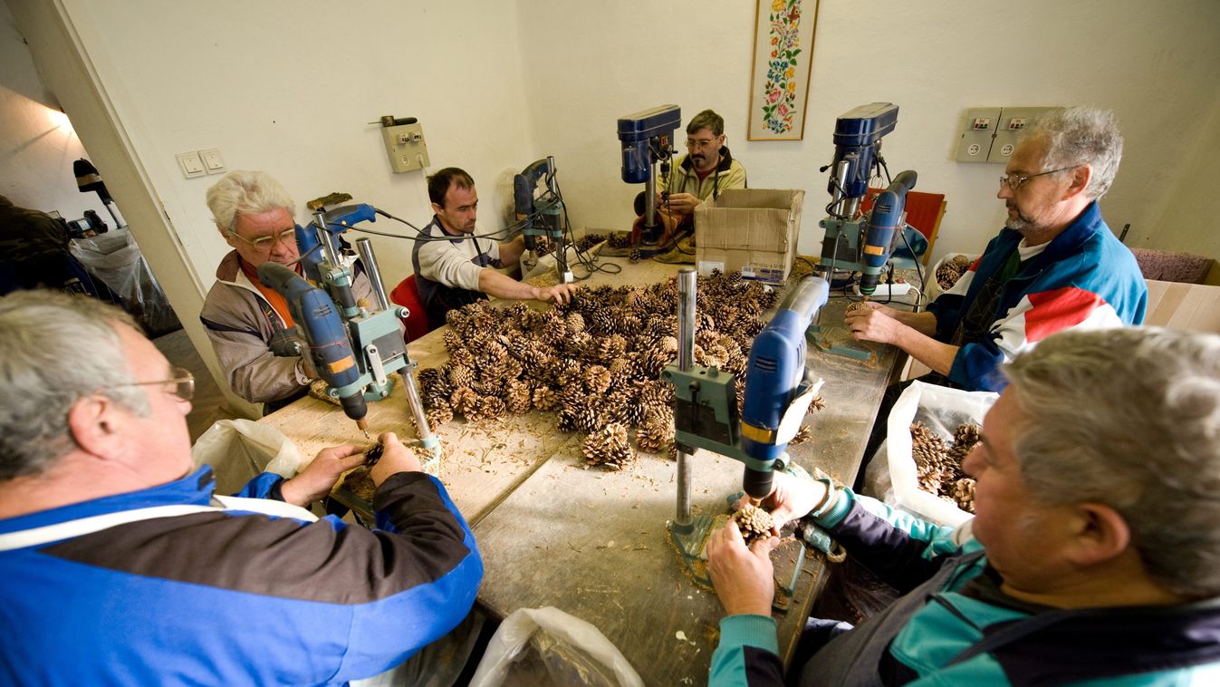 SZEMÉLY idős HÉTKÖZNAPI dolgozik férfiak munkában nők munkában Csanádapáca, 2009. december 11.
Csanádapácán a szociális foglalkoztatóban tobozokra lyukat fúrnak a munkások, akik 6 órában dolgoznak. Szeptember 1-jén lépett életbe az a kormányrendelet, amel