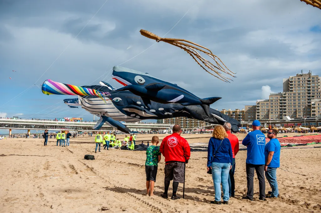 Nemzetközi Sárkányeregető fesztivál Hollandiában  International Kite Festival Held Again In The Scheveningen Beach, The Hague IDSOK Holland Holland Kite Team International Kite Festival 
