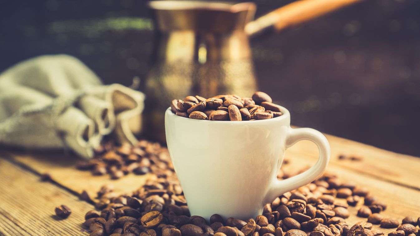 A nagy kávékérdés: arabica vagy robusta? 