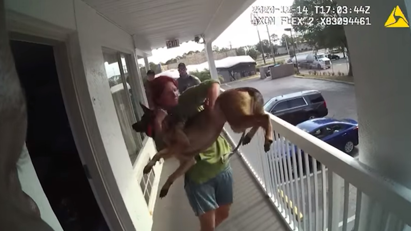 kutya állatkínzás nő motel Florida 
