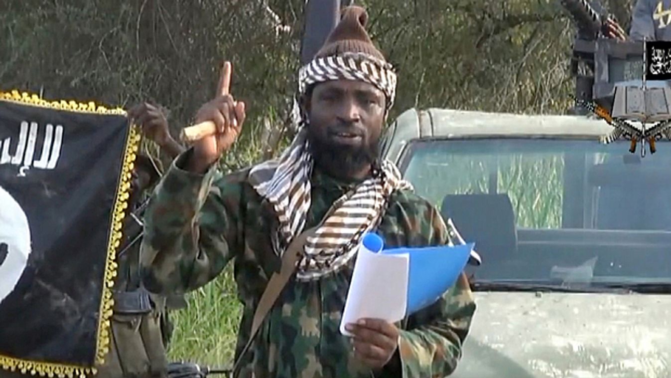 Boko Haram, Abubakar Shekau 