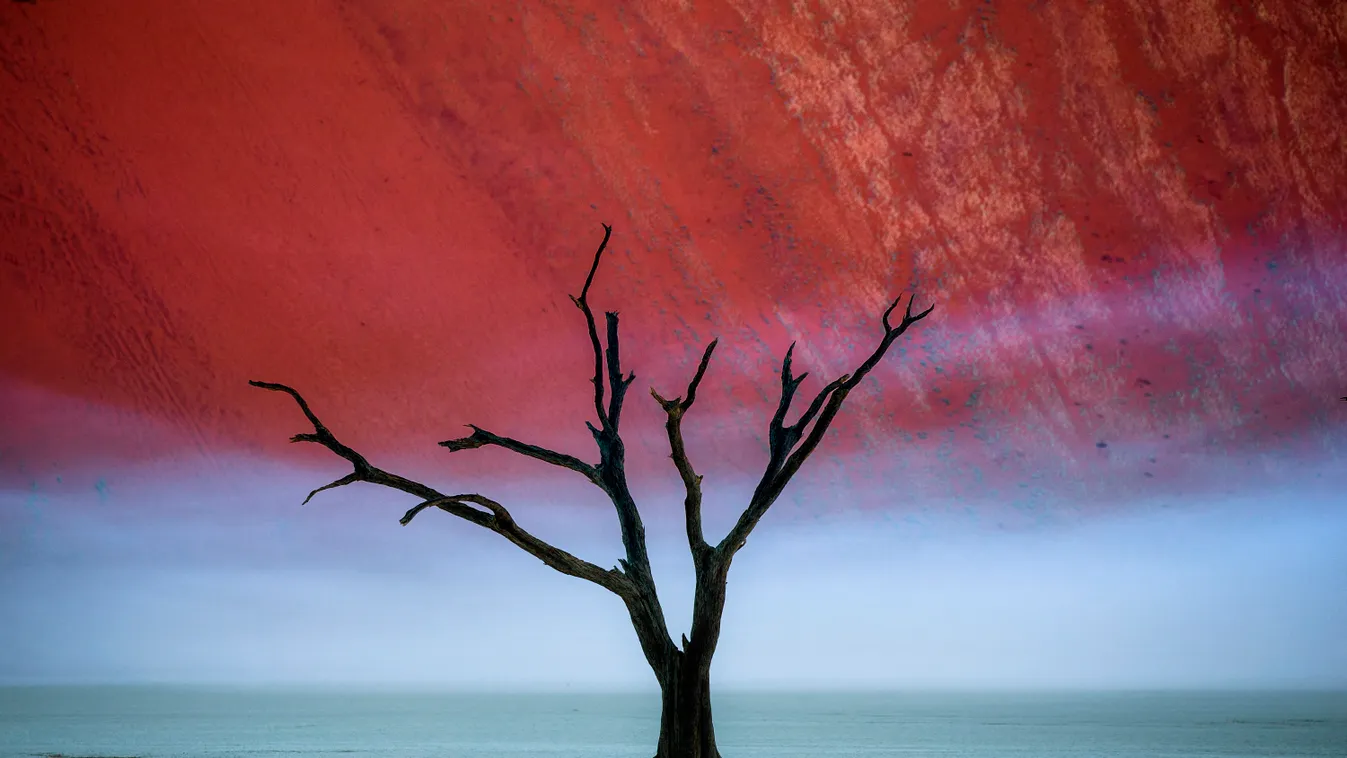 Deadvlei, Namíbia 