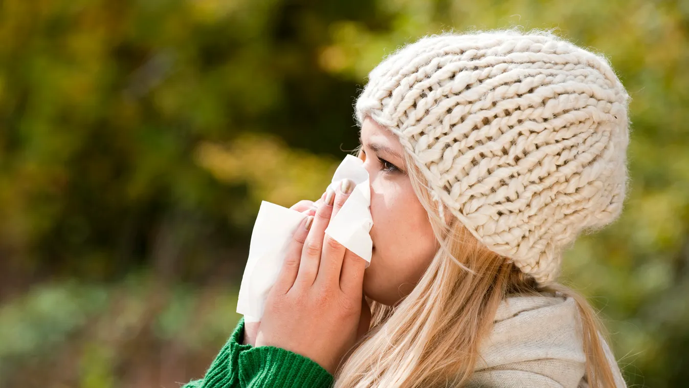 Parlagfű – elsőszámú allergén, mégis hasznosítható dr. life 