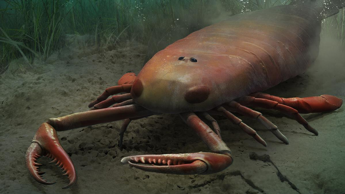 tengeri skorpió 