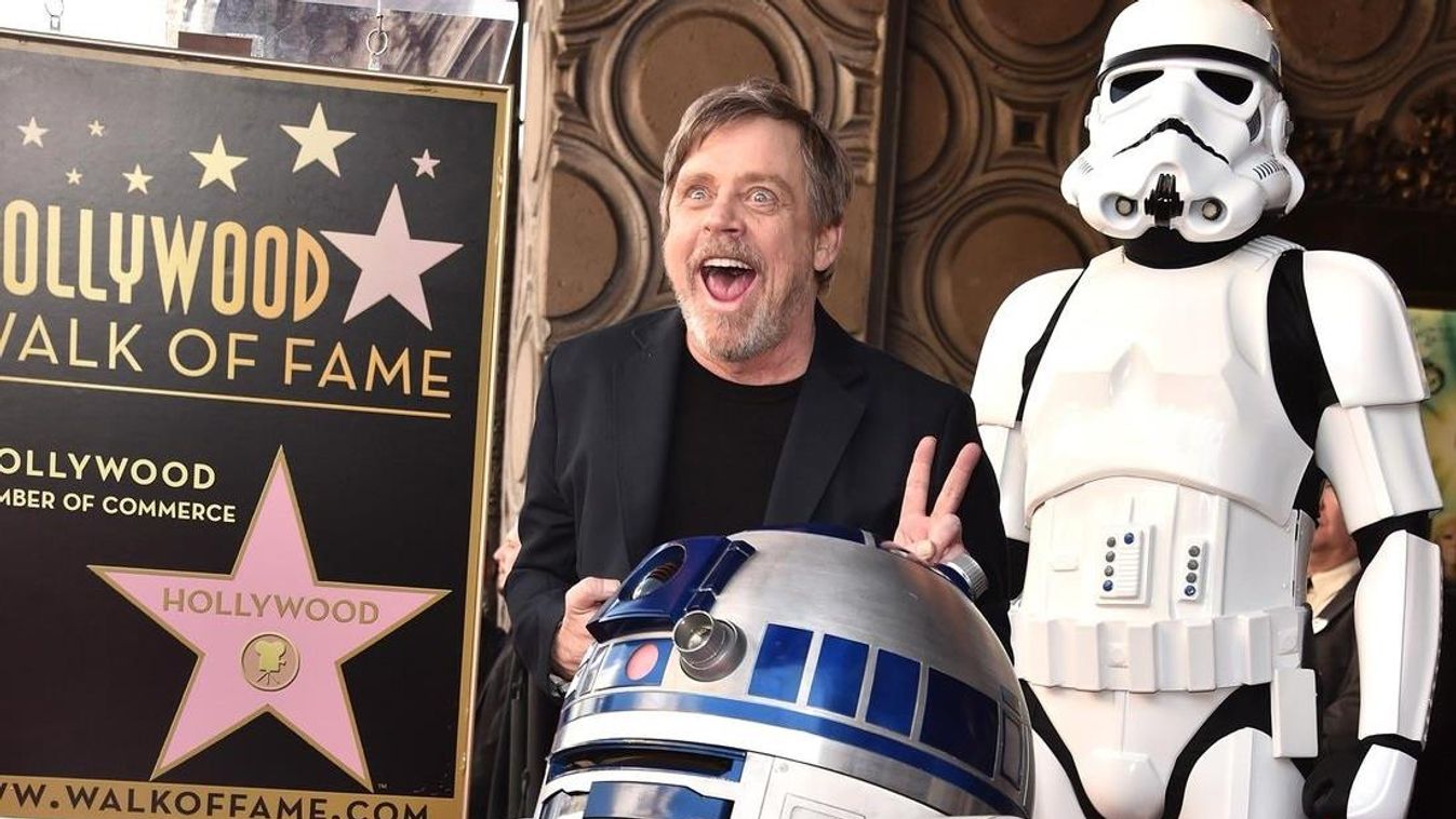 Mark Hamill is Honored with Star on the Hollywood Walk of Fame null Mark Hamill is Honored with Star on the Hollywood Walk of Fame on March 8, 2018 at Hollywood Walk Of Fame in Hollywood, California. 