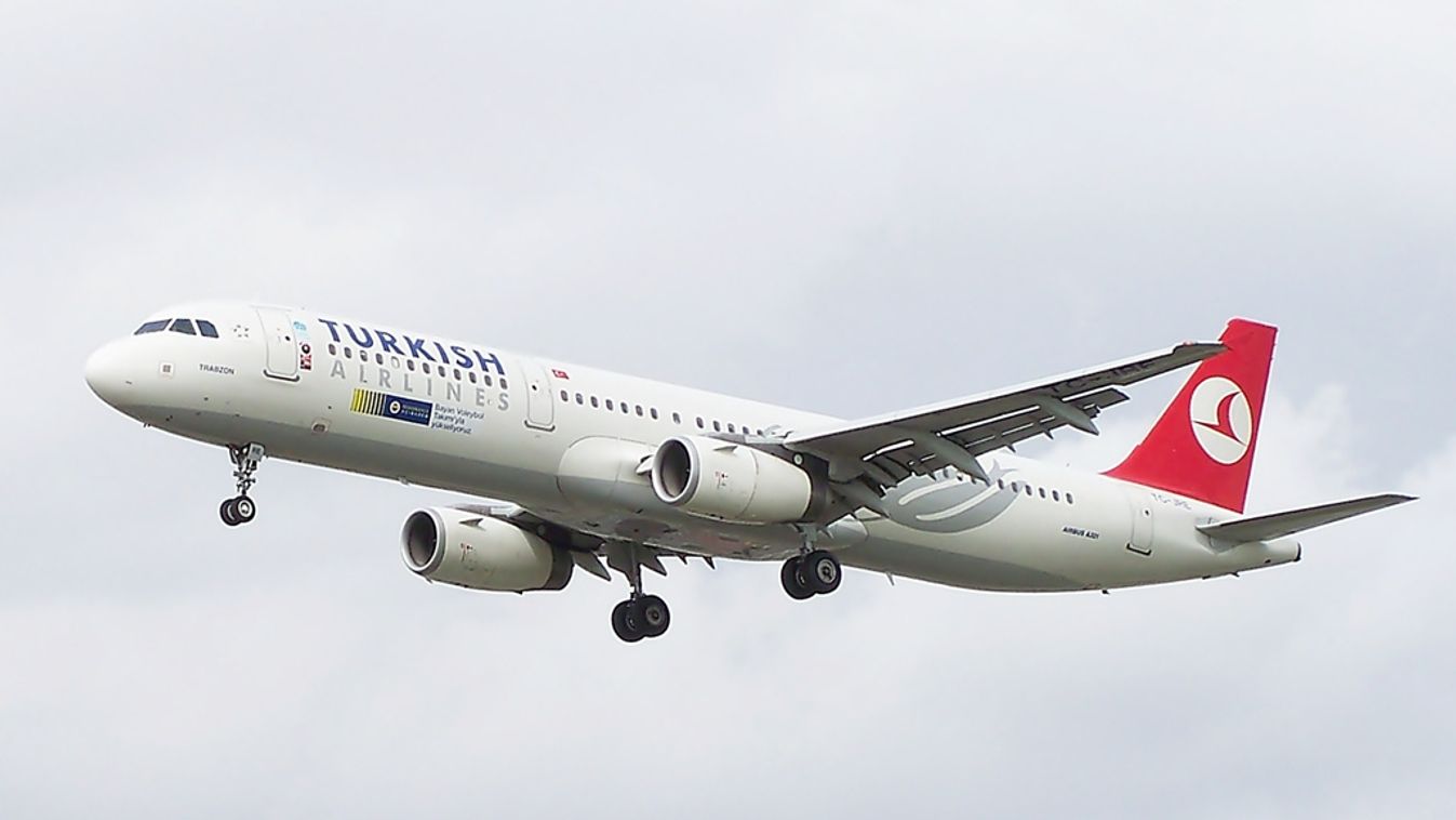 Turkish Airlines Airbus A321 