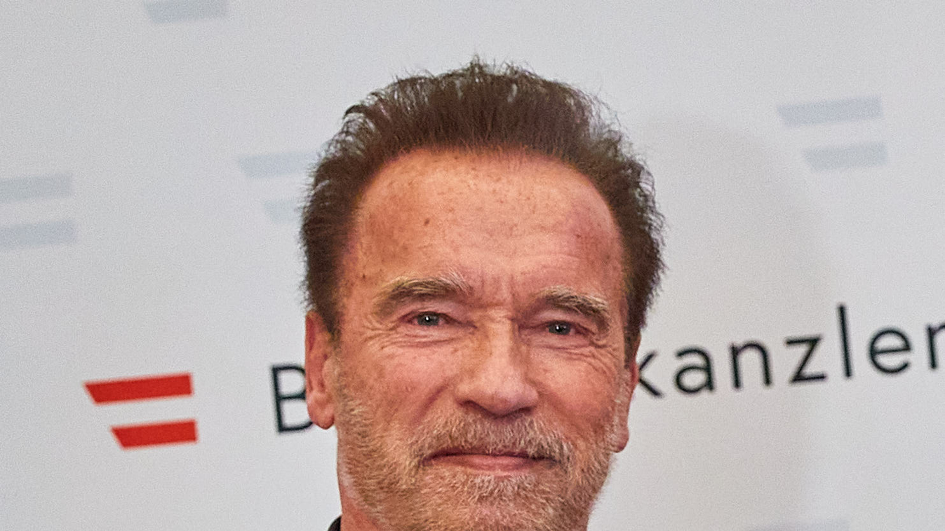 Arnold Schwarzenegger, A leggazdagabb testépítők, testépítő, 