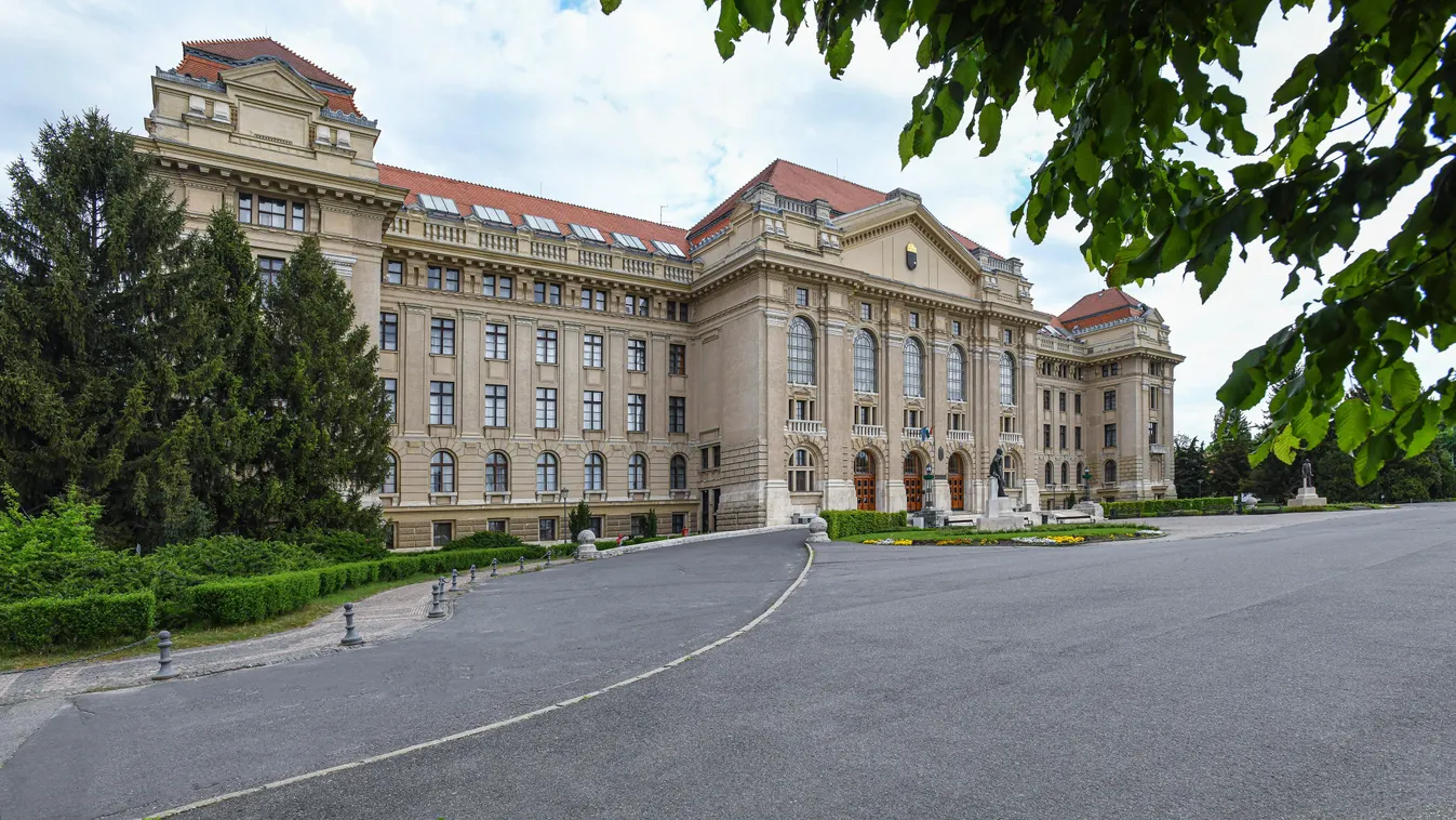 Egyetem, épület, főépület, bejárat, illusztráció, Debreceni Egyetem 