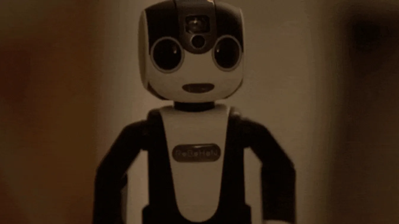 robohon, robot, okostelefon 