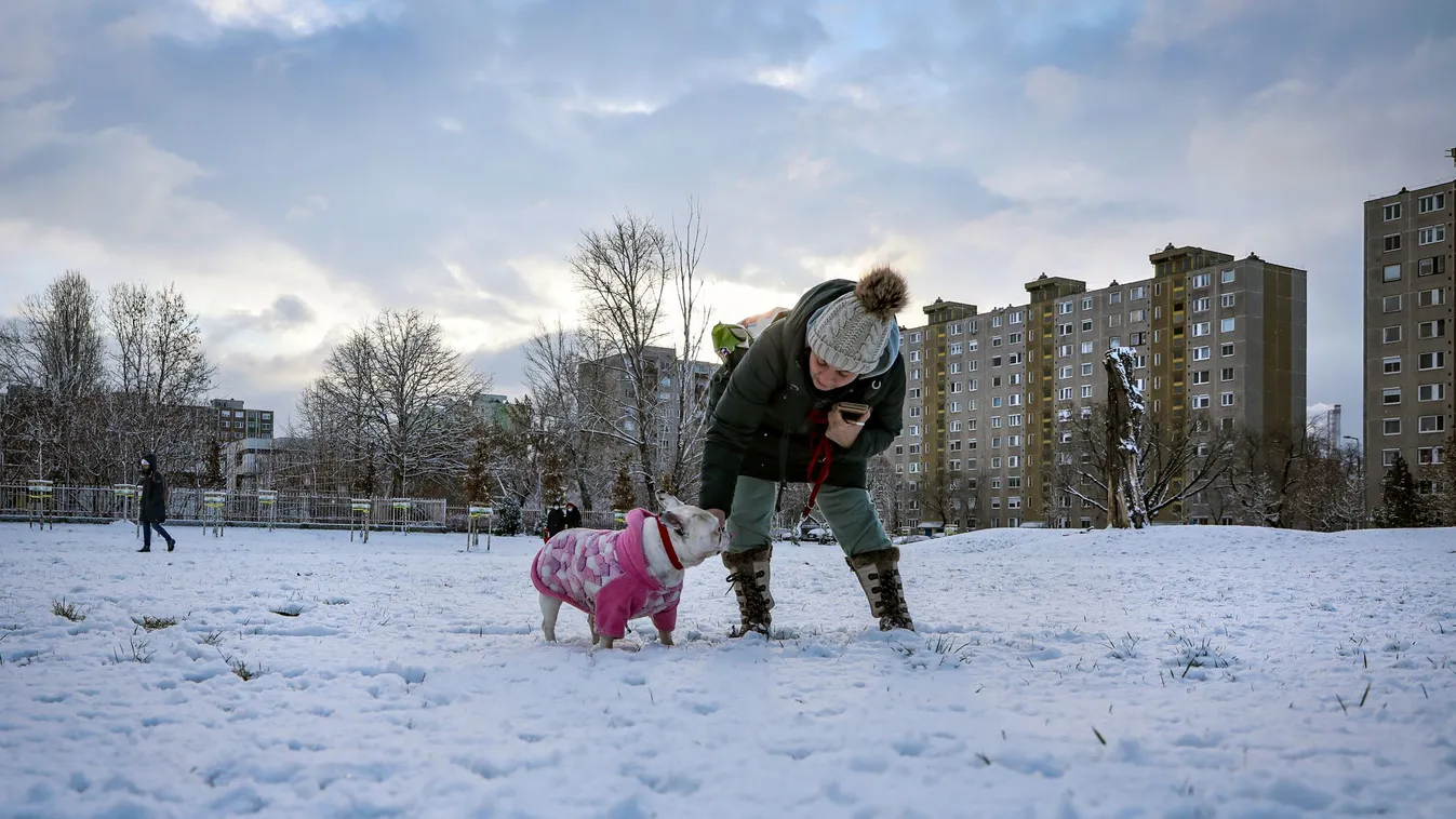 Az idei szezon első hava Újpesten 2021 január 14-én, hó, havazás, Budapest, tél, időjárás, kutya, lakótelep 