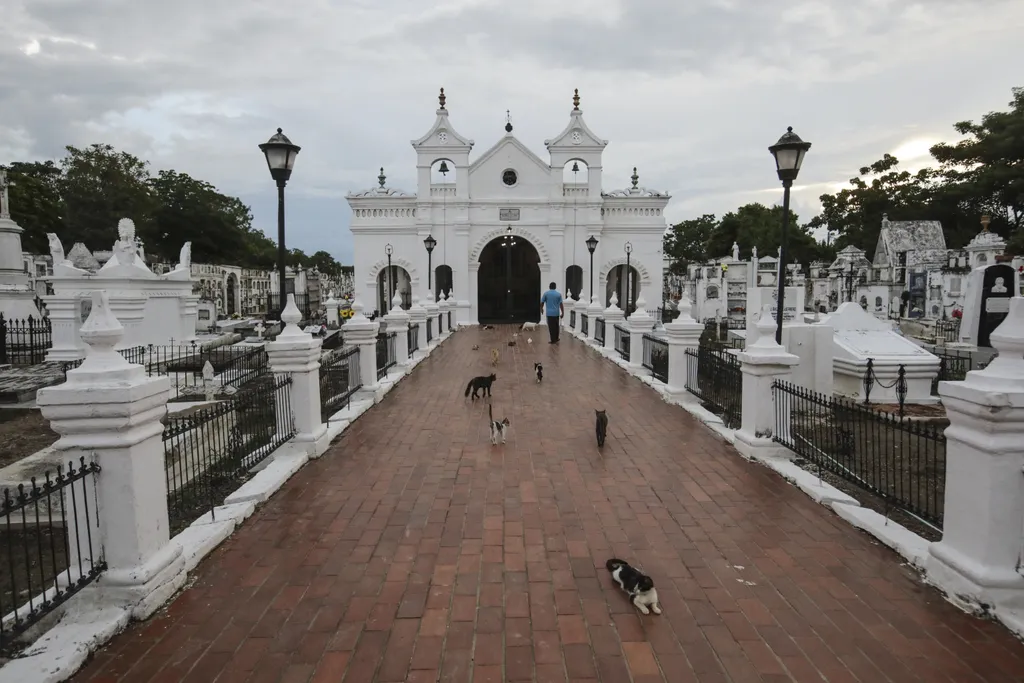 Santa Cruz de Mompox temető macskák 