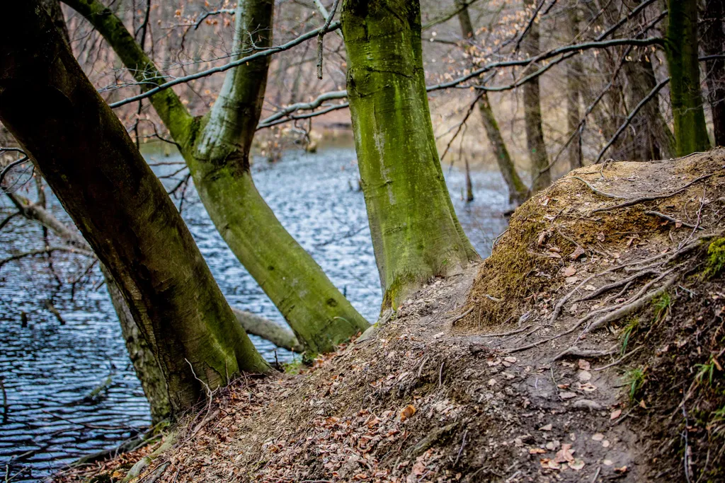 Hubertlaki-tó, kirándulás, túra, Bakony 