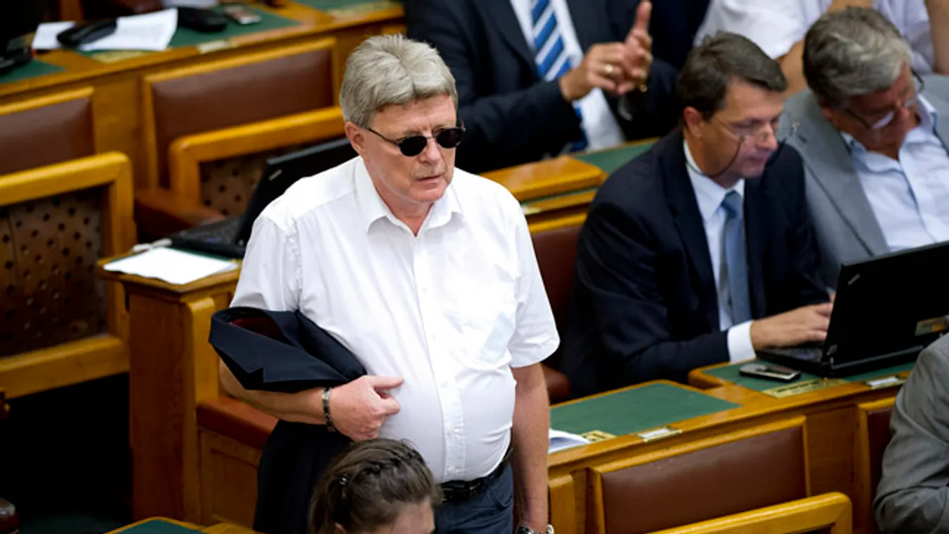 parlament plenáris ülés Gyenes Géza napszemüveg