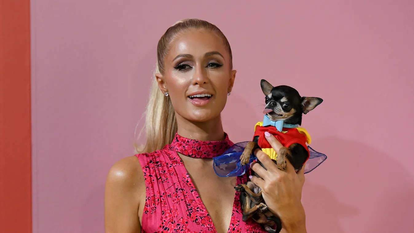 Heti trendjelentés: Paris Hilton végleg kikerült az "A" kategóriás celebek élvonalából 