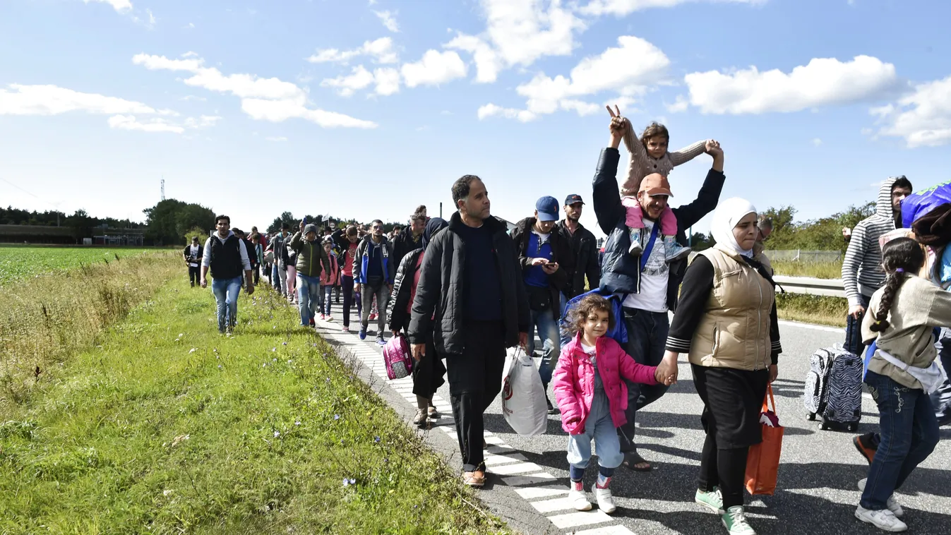 Dánia, bevándorlók, menekültek, migránsok 