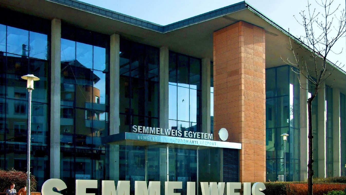 Egyetem, épület, főépület, bejárat, illusztráció, Semmelweis Egyetem Elméleti Orvostudományi Központ 