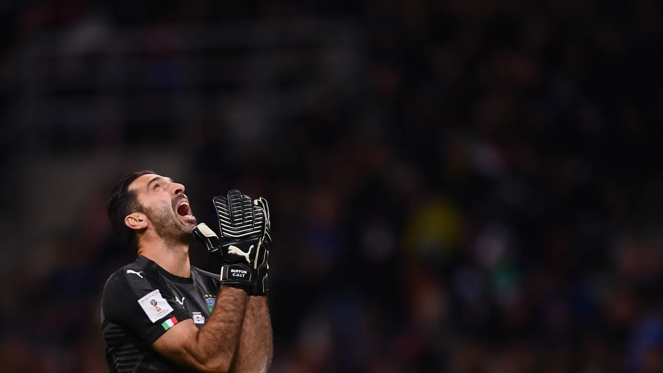 Buffon 